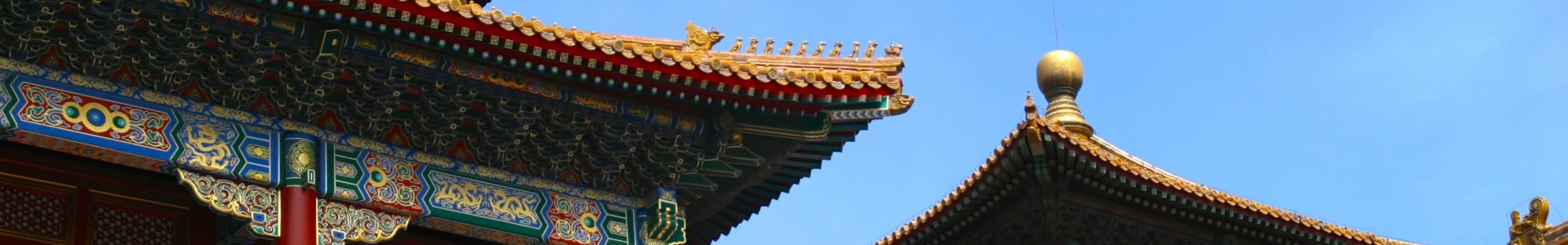 描述