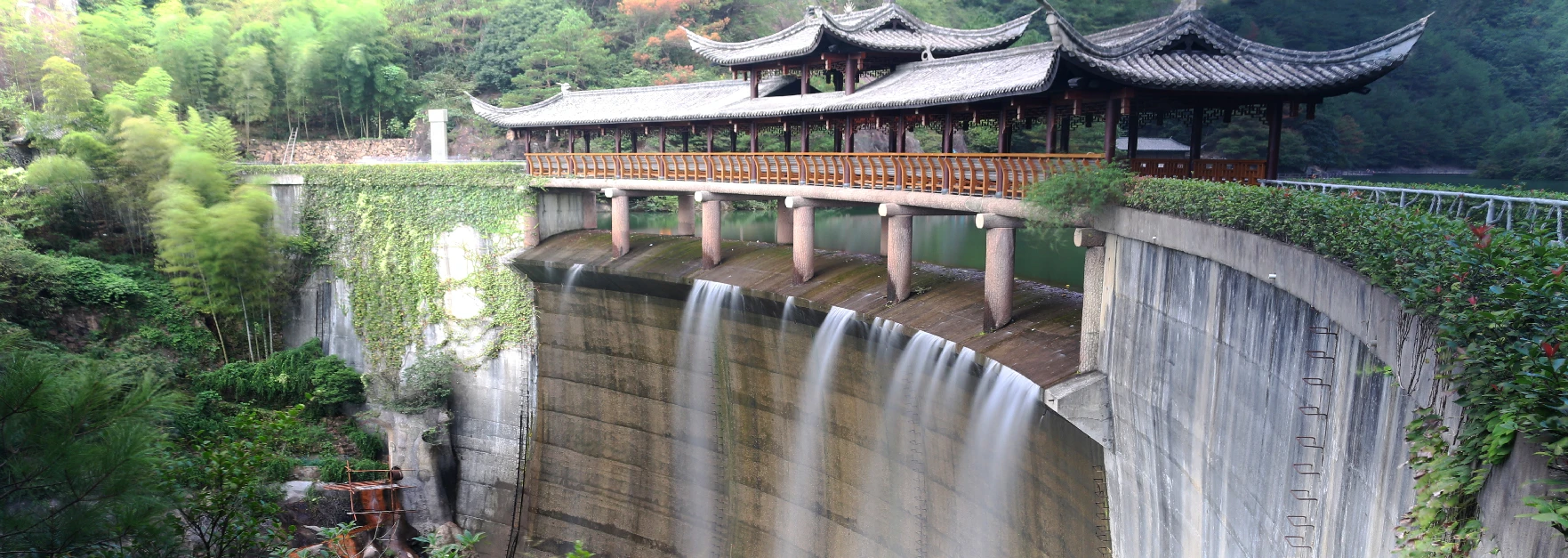 描述